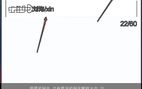 带星的网名 含有星字的网名昵称大全 2023有涵养洋气的带星字网名网名昵称名字最新