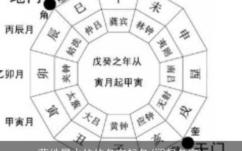 蓝姓属火的的名字起名(澜起名字)