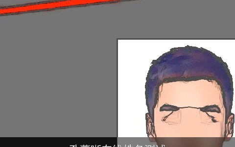 孔薹晰在线姓名测试