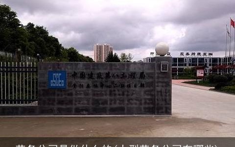 劳务公司是做什么的(大型劳务公司有哪些)