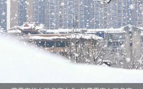 带雪字的女孩名字大全 的带雪字女孩名字
