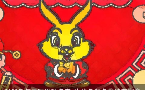 2024龙年最旺男孩名字 生肖兔起名俊俏有寓意