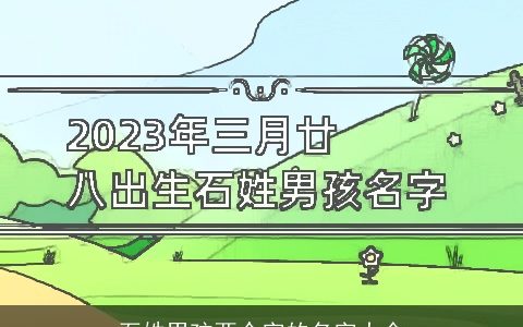 石姓男孩两个字的名字大全