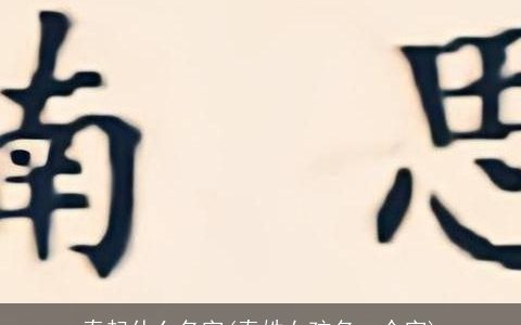 秦起什么名字(秦姓女孩名一个字)