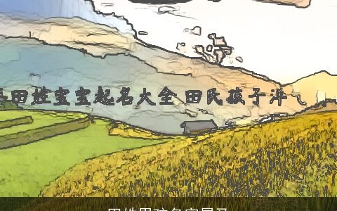 田姓男孩名字属龙