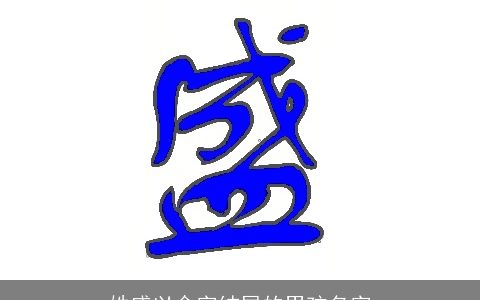 姓盛以含字结尾的男孩名字