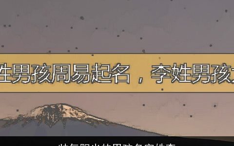 帅气阳光的男孩名字姓李