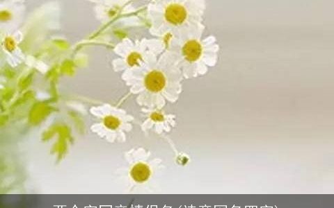 两个字同音情侣名(诗意网名四字)