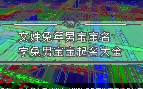 兔年农历六月十五日出生的男孩好名字男宝宝起名推荐