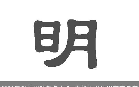 2024年张姓男孩起名大全 吉祥之义的男宝宝名字