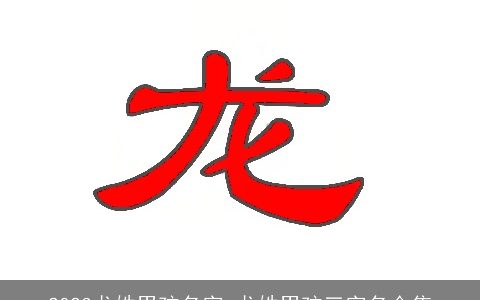 2024龙姓男孩名字 龙姓男孩三字名合集