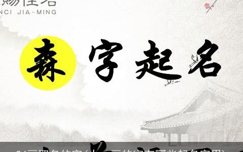 24画取名的字(十一画的字有哪些起名字用)