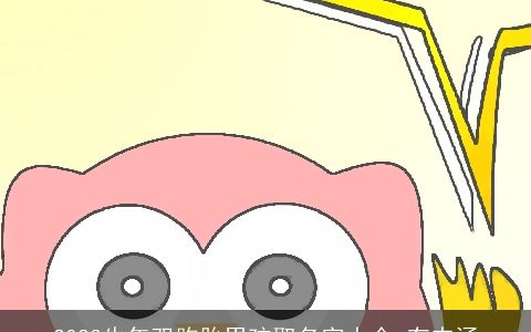 2024龙年双胞胎男孩取名字大全 有内涵