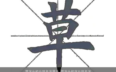 草字头的女孩名字属牛 草字头的字女孩名字大全虎宝宝 好听吉祥的女孩牛宝宝名字最新