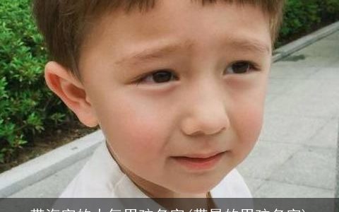 带海字的大气男孩名字(带昊的男孩名字)