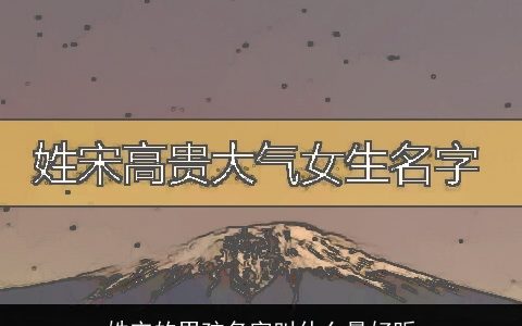 姓宋的男孩名字叫什么最好听