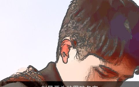 刘昊开头的男孩名字