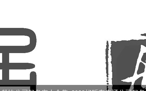 餐饮公司起名字大全集 2024好听有内涵公司起名