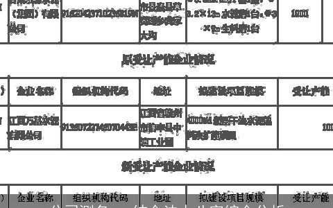 公司测名   结合法人八字综合分析