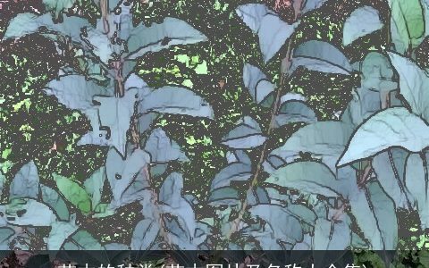 苗木的种类(苗木图片及名称大全集)