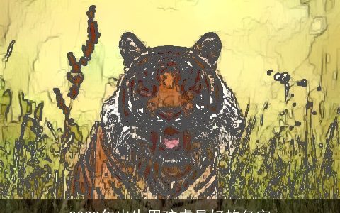 2024年出生男孩龙最好的名字