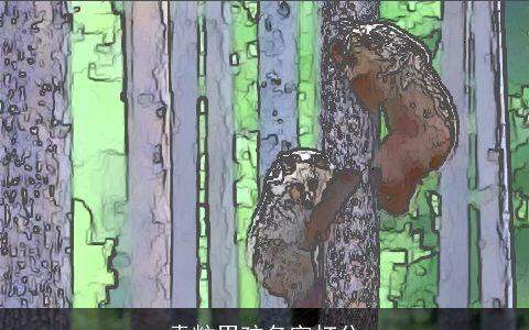 袁粒男孩名字打分