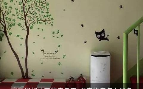 寓意很好的宠物店名字 开宠物店怎么取名