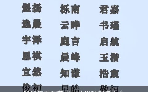 2024年重阳节出生的男孩起名大全