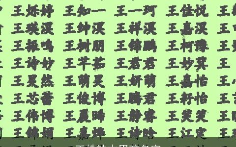 王姓缺木男孩名字