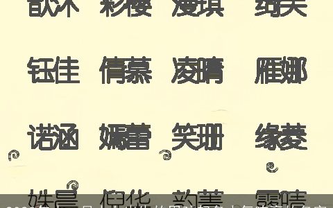 2023年十一月十七出生的男孩起名大气响亮的名字