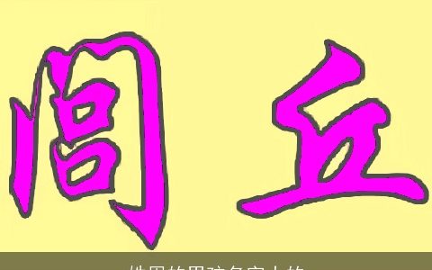 姓周的男孩名字大的