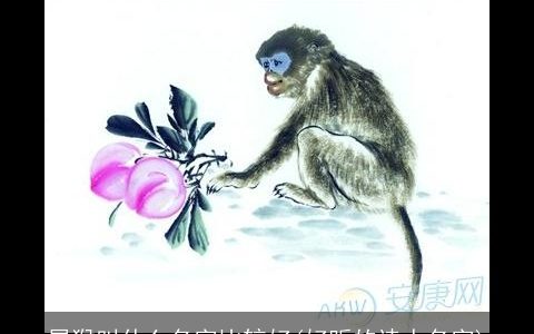 属猴叫什么名字比较好(好听的诗人名字)