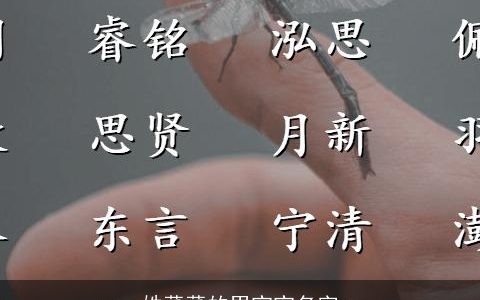 姓董董的男宝宝名字