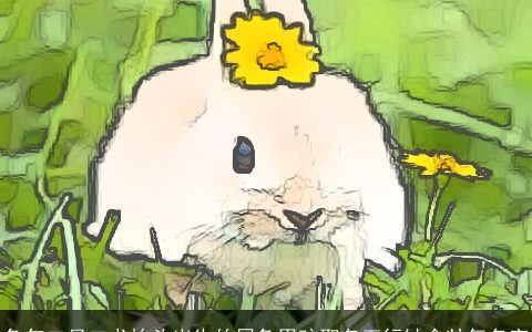 兔年二月二龙抬头出生的属兔男孩取名五行缺金帅气名字