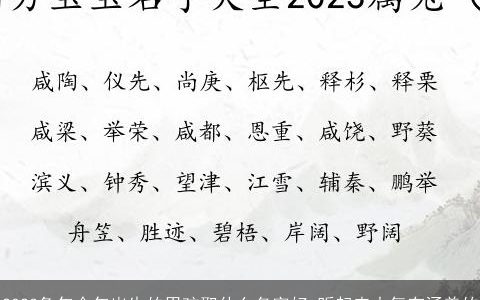 2023兔年今年出生的男孩取什么名字好 听起来大气有涵养的