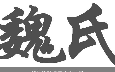 魏姓男孩名字大全古风