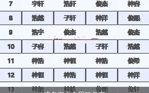 睿名字大全男孩名字