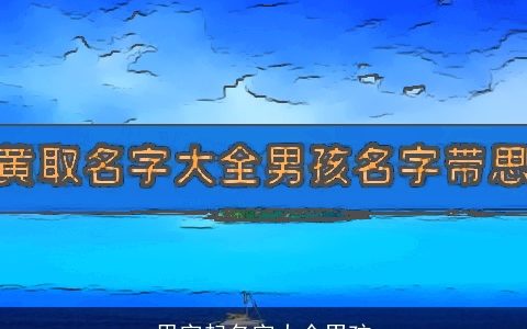 思字起名字大全男孩