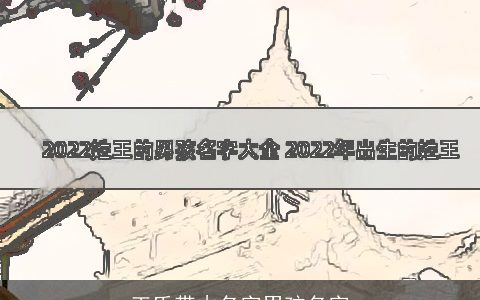 王氏带木名字男孩名字