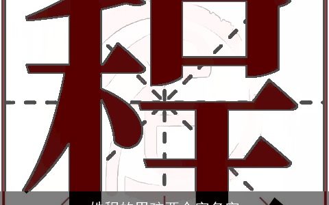 姓程的男孩两个字名字