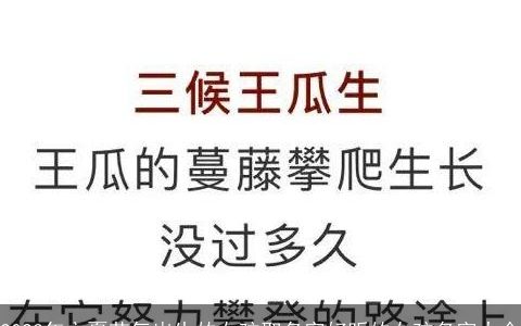 2023年立夏节气出生的女孩取名字好听的女孩名字大全