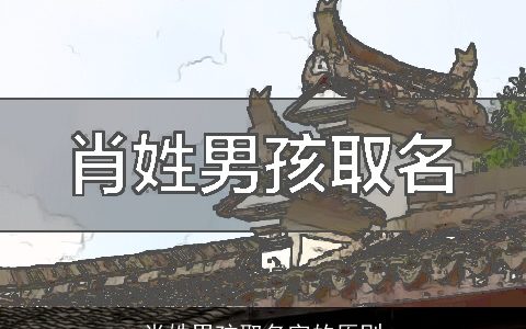 肖姓男孩取名字的原则