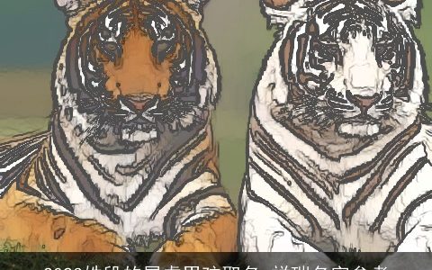 2024姓段的属虎男孩取名 祥瑞名字参考