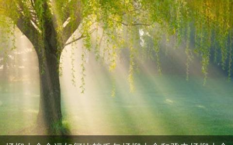 杨柳木命命运如何比较壬午杨柳木命和癸未杨柳木命