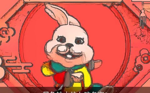 属兔缺木的女孩名字1