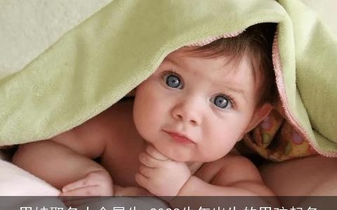 男娃取名大全属牛 2023牛年出生的男孩起名