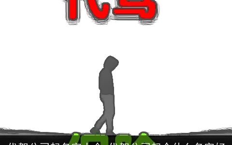 代驾公司起名字大全 代驾公司起个什么名字好