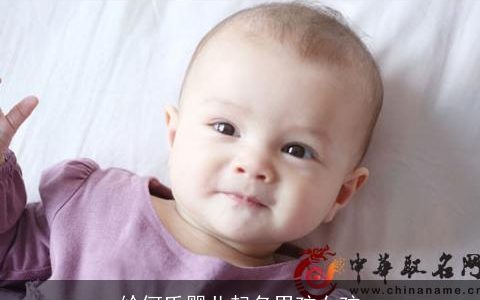 给何氏婴儿起名男孩女孩