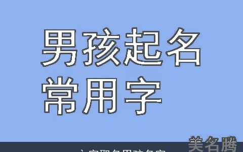 之字取名男孩名字