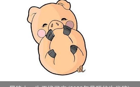 属猪人一生正缘已定(2024年最旺的生肖猪)